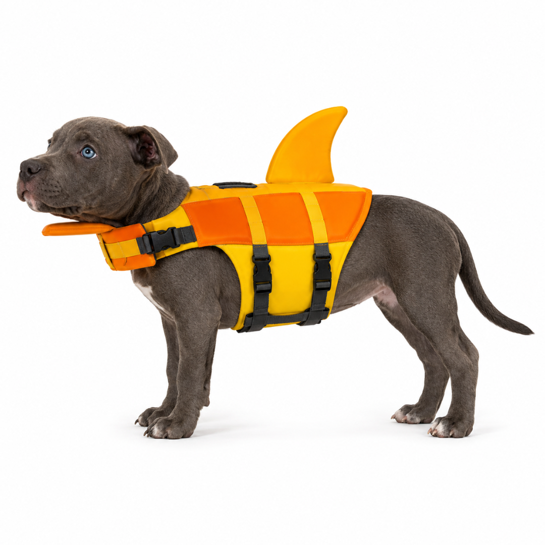 CHALECO TIBURÓN